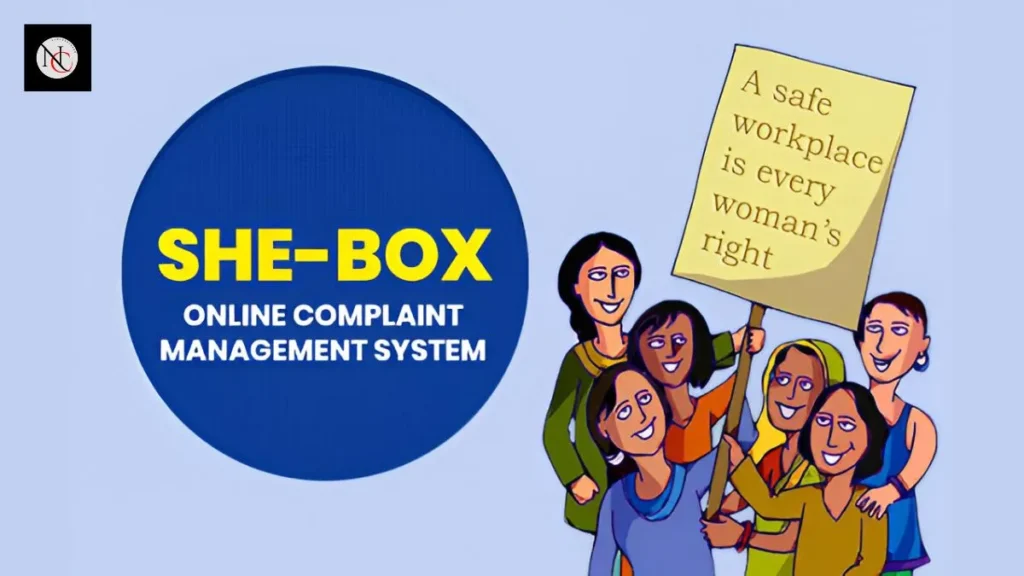 What is the SHe-box in human rights?