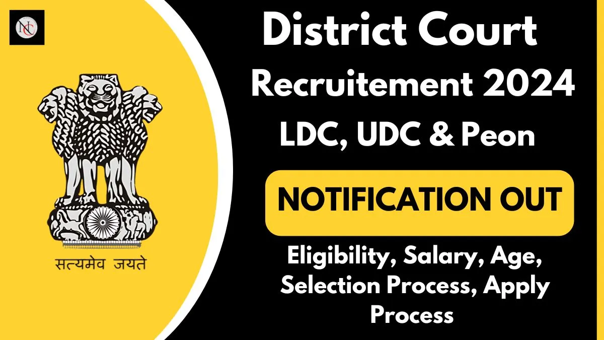 What is the qualification for LDC vacancy 2024?