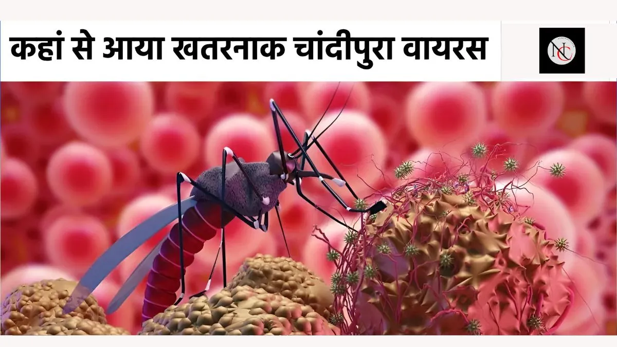 What is the cause of Chandipura virus